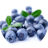 Zeaxan Componentes: Extracto de arándano